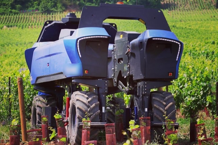 An autonomous vineyard robot working between rows of young vines